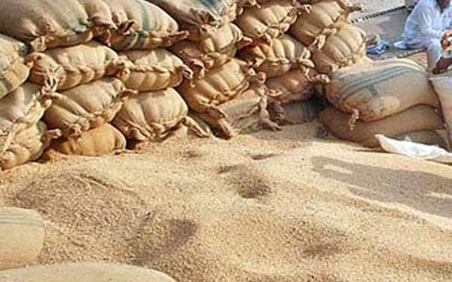 سندھ میں گندم سکینڈل سے متعلق پیشرفت رپورٹ جاری ، ملزموں سے 10 اعشاریہ612 ارب وصول
