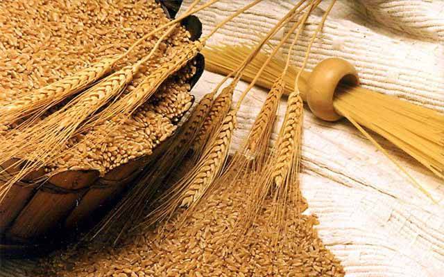 وفاق گندم کی قیمت 1800 روپے فی من کرنے پر راضی