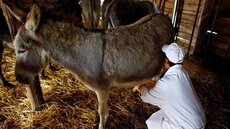 بھارت میں گدھے کے گوشت اور دودھ کی مانگ میں اضافہ