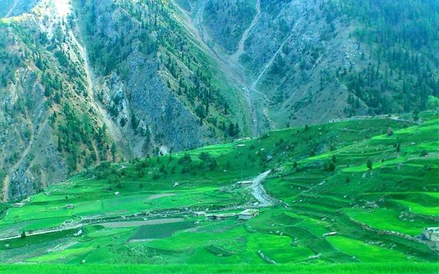 گلگت بلتستان کورونا وائرس سے پاک ہوگیا، محکمہ صحت کا دعویٰ