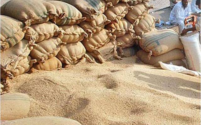 سندھ حکومت :  25تعلقوں میں30 گندم خریداری سینٹر کھولنے کا حکم