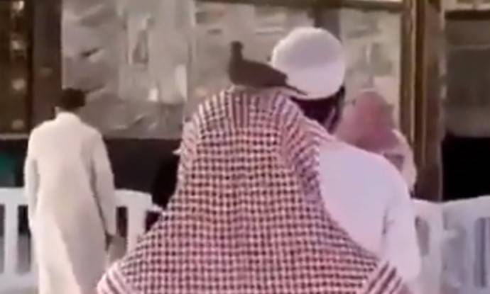 حرم پا ک میں نمازی کے سر پر کبوتر آن بیٹھا۔۔ویڈیو سوشل میڈیا پر مقبولیت لینے لگی