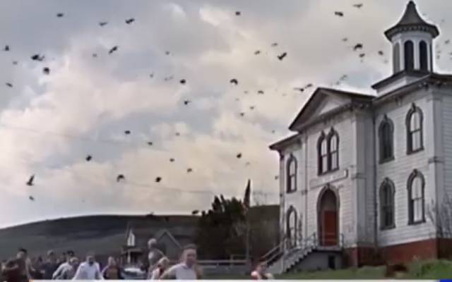 کیلیفورنیا کے گھر پر سینکڑوں پرندوں کا حملہ۔۔فائر فائٹرز کو بلانا پڑا، ویڈیو وائرل