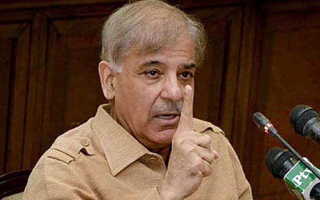  شہباز شریف کا نیاز ی حکومت کا ہر سطح پر محاسبہ کر نے کا اعلان