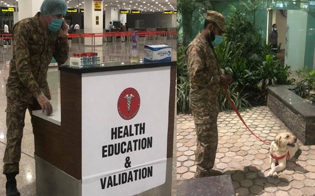 کورونا مریضوں کی نشاندہی، پشاور ایئرپورٹ پر پاک فوج کے تربیت یافتہ کتے تعینات