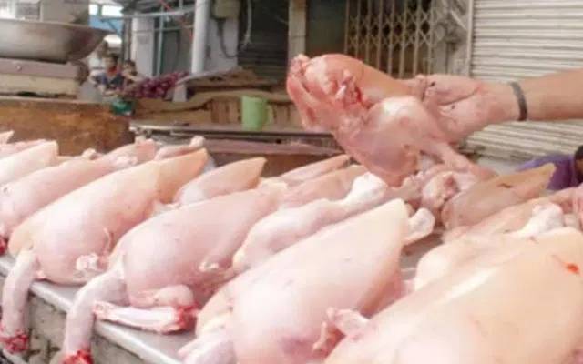 برائلر گوشت کھانے والے خبردار!مرغیوں میں مہلک وائرس کا انکشاف