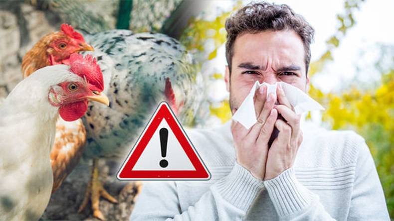 چین: برڈ فلو  ایچ 10 این 3  اسٹرین میں مبتلاپہلے انسانی کیس کی تصدیق