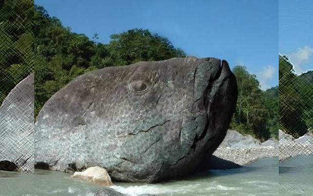 مچھلی نما پتھر کی تصاویر سوشل میڈیا پر وائرل 