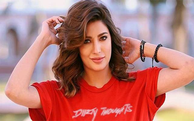 بھارتی فلم میں کام۔اداکارہ مہوش حیات نے نیا انکشاف کردیا
