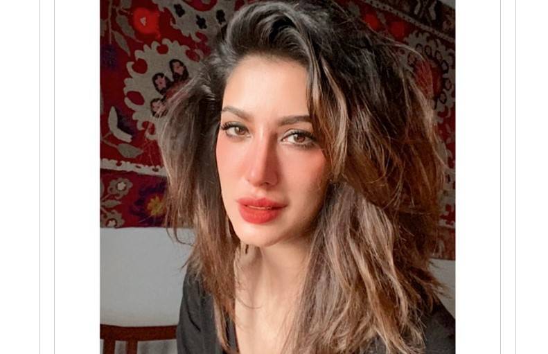 ادا کا رہ مہوش حیا ت نے نئی تصویر شیئر کرکے سو شل میڈیا صارفین سے مدد طلب کر لی 