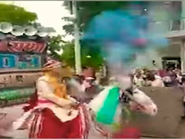 گھوڑے پر سواردولہا کے ساتھ کیا واقعہ پیش آیا؟جان کر آپ کی ہنسی نہیں رکے گی