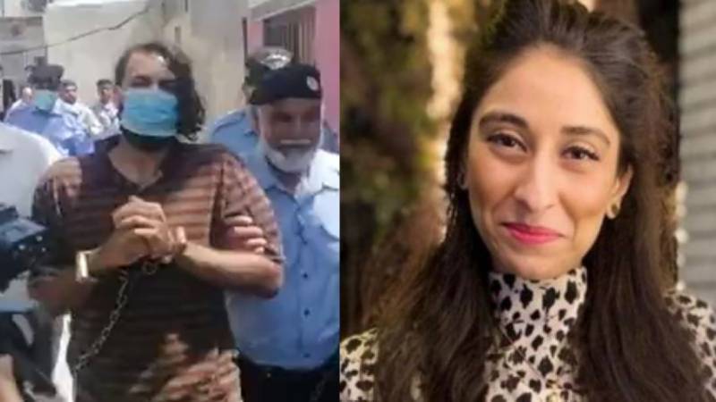 نور مقدم کے قاتل کی خوفنا ک  پینٹنگ بنانے والے آرٹسٹ پر سو شل میڈیا صا رفین کی تنقید
