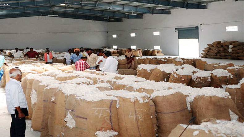 روئی کی قیمتوں میں غیر معمولی اضافہ، کسان خوش