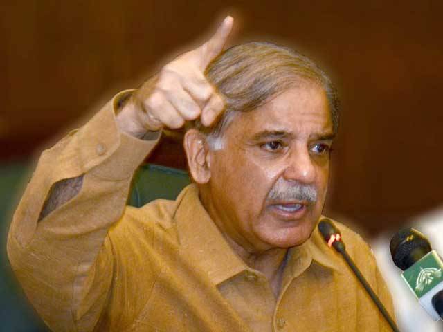 29اگست۔ پی ڈی ایم کا جلسہ نئی تاریخ رقم کرےگا۔ شہباز شریف 