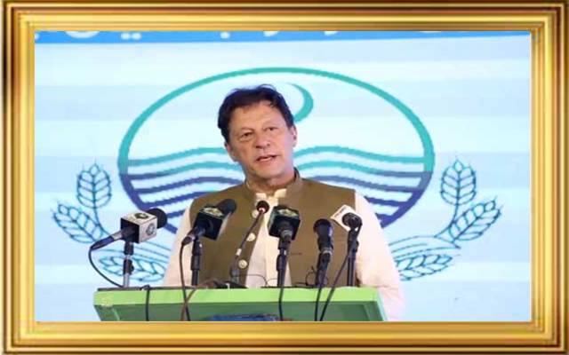 انگریزی سٹیٹس سمبل نہیں ہونا چا ہئے ،ماضی کی حکومتوں نے تعلیم کے فروغ کیلئے کچھ نہیں کیا۔عمران خان