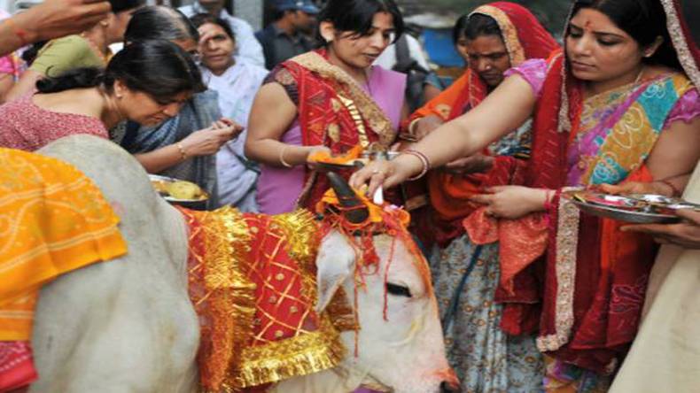 ’’گائے کو گود لےلو‘‘بھارتی ریاستی حکومت ایپ اور ویب سائٹ لانچ کریگی