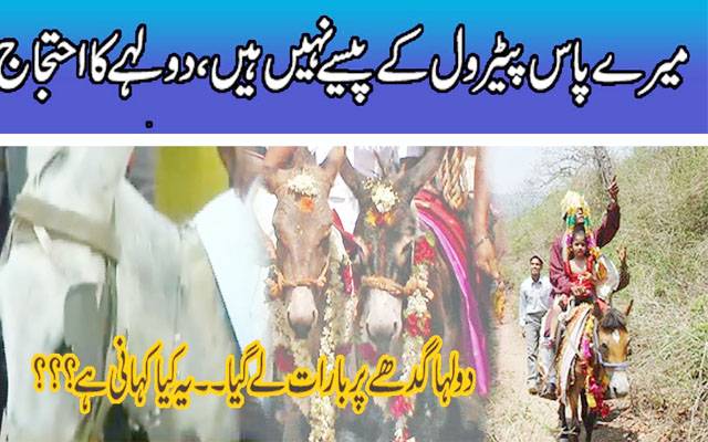  پٹرول کے پیسے نہیں۔۔ دولہا گدھے پر بارات لے گیا۔۔ویڈیو وا ئرل