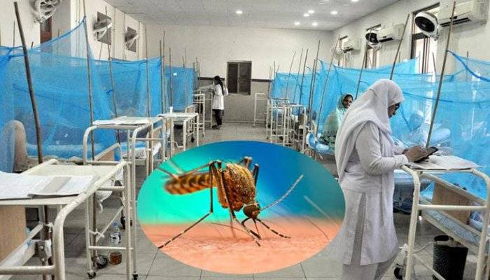 ڈینگی، بخار، لاہور 