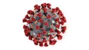 کورونا وائرس، اموات، شرح