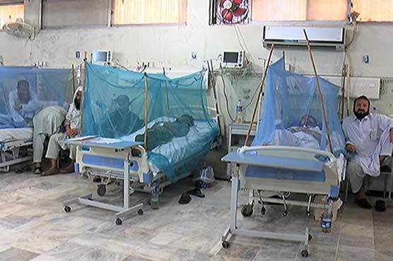 ڈینگی،پنجاب،مریض،ہسپتال