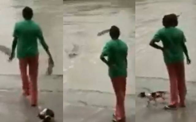 خاتون، اپنی چپل، مگرمچھ
