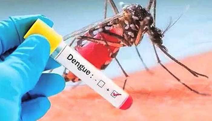 ڈینگی ،مریض،اموات،اضافہ