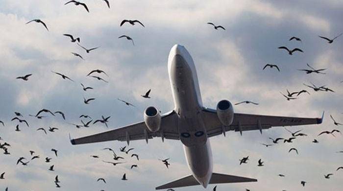 اسلام آباد ۔طیارے سے پرندہ ٹکرا گیا۔۔جہاز میں 150مسافر سوار تھے