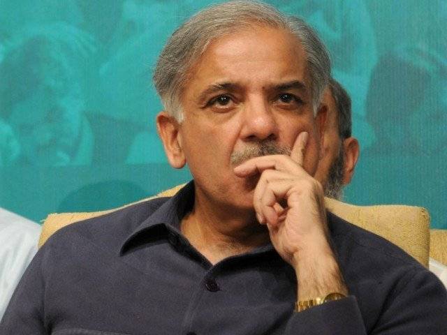 شہباز شریف،تنقید،حکمزان جماعت
