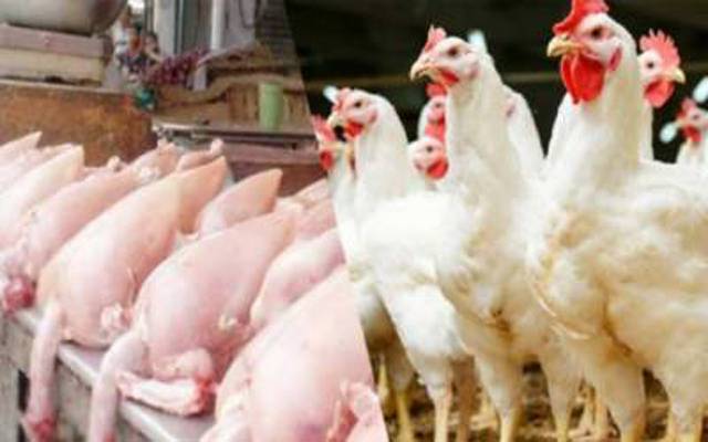 چکن، قیمت ،برائلر مرغی،  11 روپے فی کلو سستی ،،فارمی انڈوں  ،فی درجن مقرر 