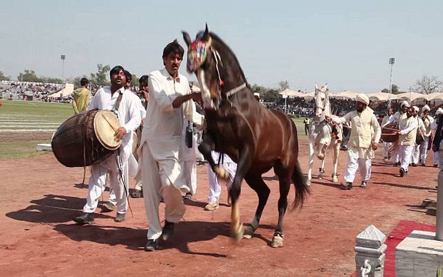  زندہ دلان ۔لاہور ۔ خوشخبری ۔مارچ ۔ہارس اینڈ کیٹل۔ شو۔ اعلان