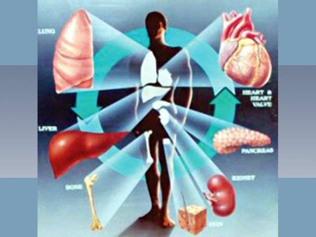 اعضا کی پیوند کاری میں بڑی پیش رفت