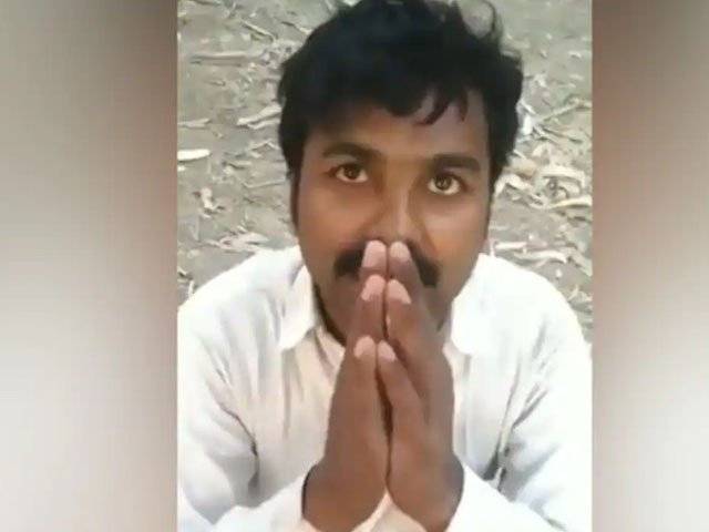 گائے کا گوشت کیوں کھایا