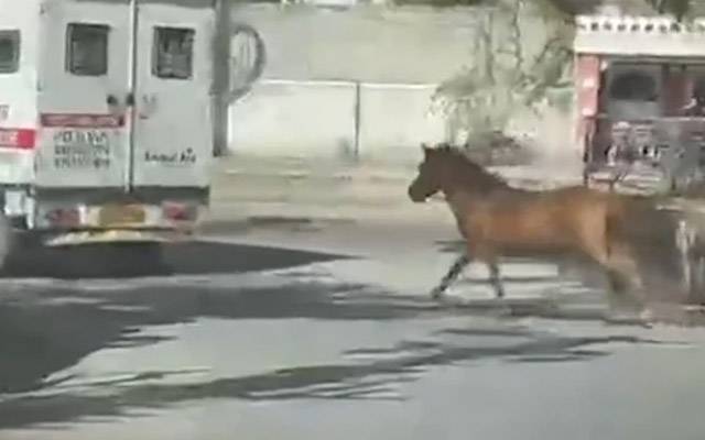 محبت کہاں لے آئی،فائل فوٹو