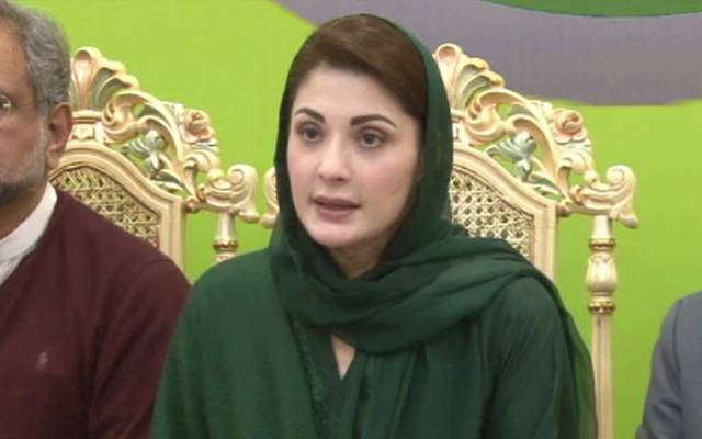 مرکزی نائب صدر، ن لیگ، مریم نواز، وزیراعظم کو مشورہ