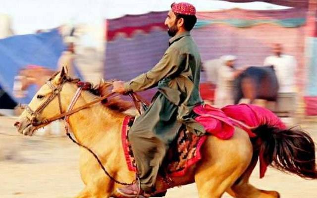کھوڑا خرید لیا،فائل فوٹو
