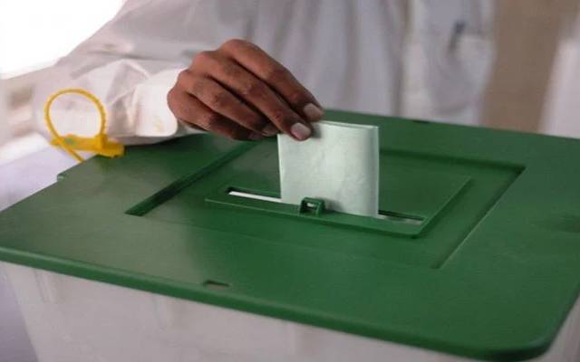کے پی کے ، بلدیاتی الیکشن