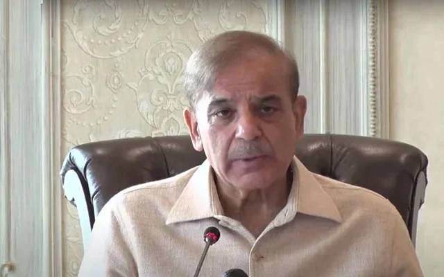 شہبازشریف ، بیان 
