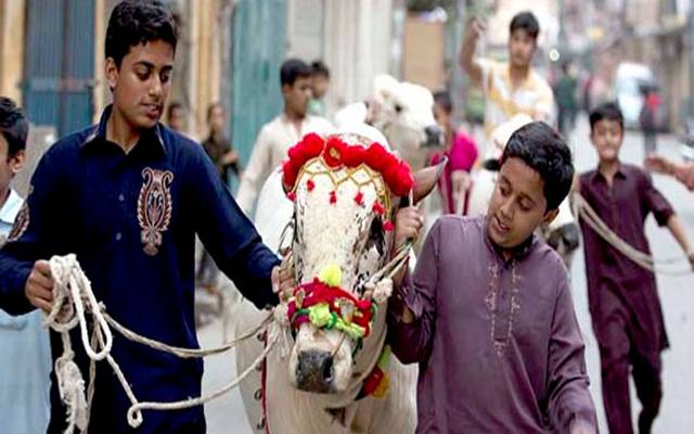  عیدالاضحیٰ کب ہو گی؟ ممکنہ تاریخ سامنے آگئی