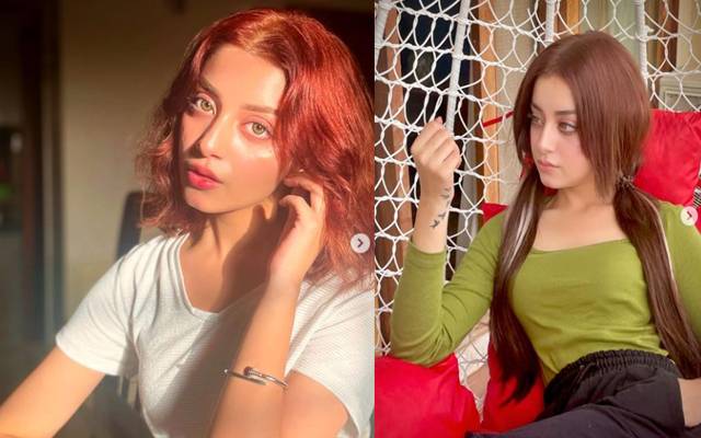 اداکارہ علیزے شاہ، تصاویر، سوشل میڈیا صارفین، تنقید کی زد،