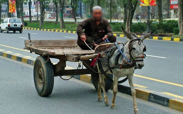 سول ایوی ایشن، انوکھی درخواست