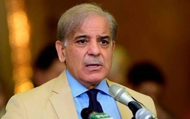 شہبازشریف ، بزنس کانفرنس