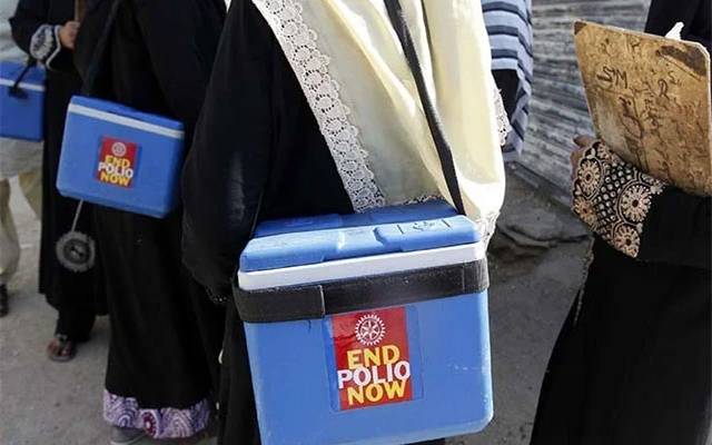 پاکستان، پولیو، وائرس، نیاکیس، منظرعام