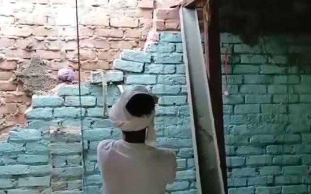 کوبرا سانپ ، ریسکیو آپریشن