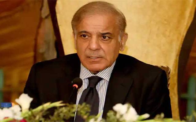 شہبازشریف ، آل پارٹیز کانفرنس