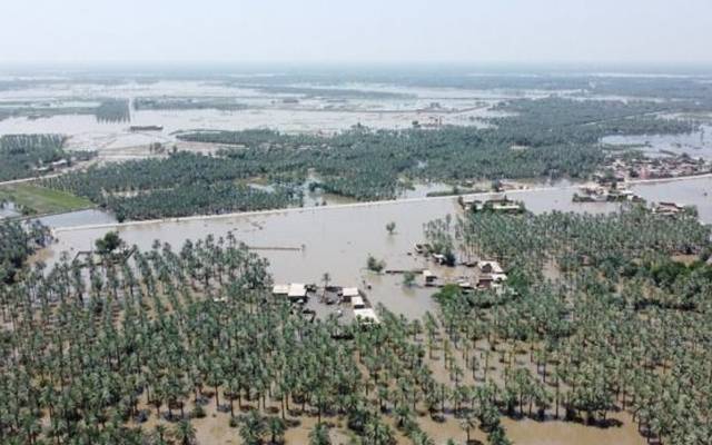 سیلاب سے تباہی ، این ڈی ایم اے