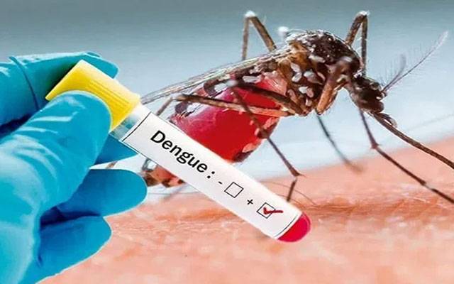 ڈینگی کا سیزن، پرائیویٹ لیبارٹریوں کی چاندی؟