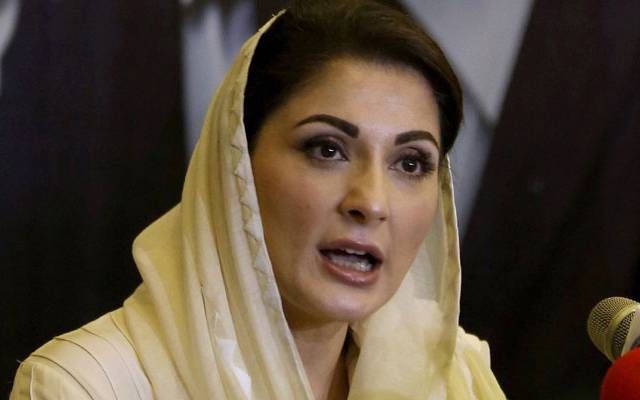 مریم نواز ، تنقید