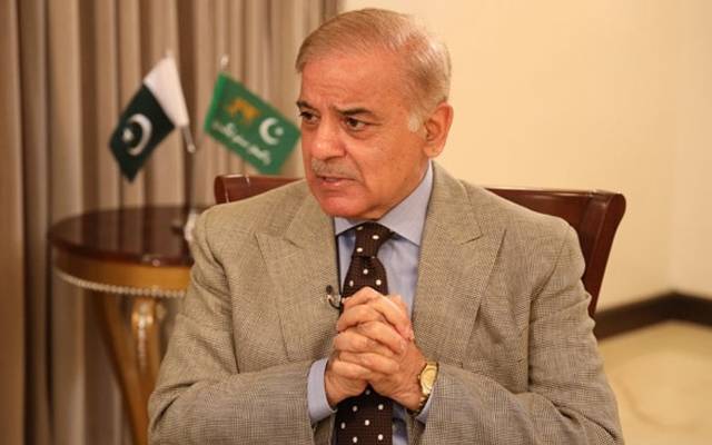 شہبازشریف ، دورہ 