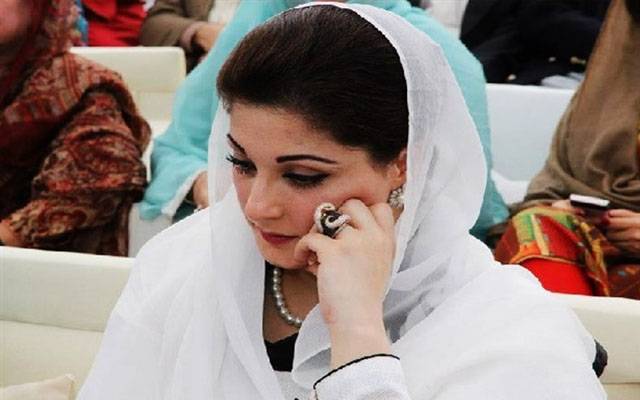 مسلم لیگ ن، نائب صدر، مریم نواز، پاسپورٹ کے حصول، درخواست، 