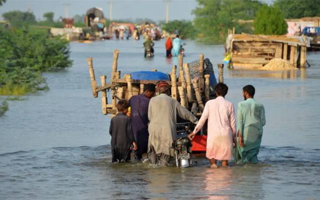 منچھر جھیل, قمبر شہداد کوٹ,بلوچستان ,ضلع جعفرآباد ,24 نیوز 